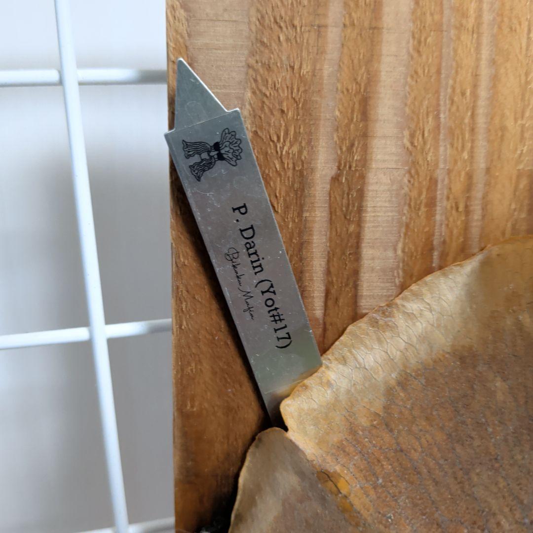 【ショウイチ】P. hillii Dairin BikakuMafia産