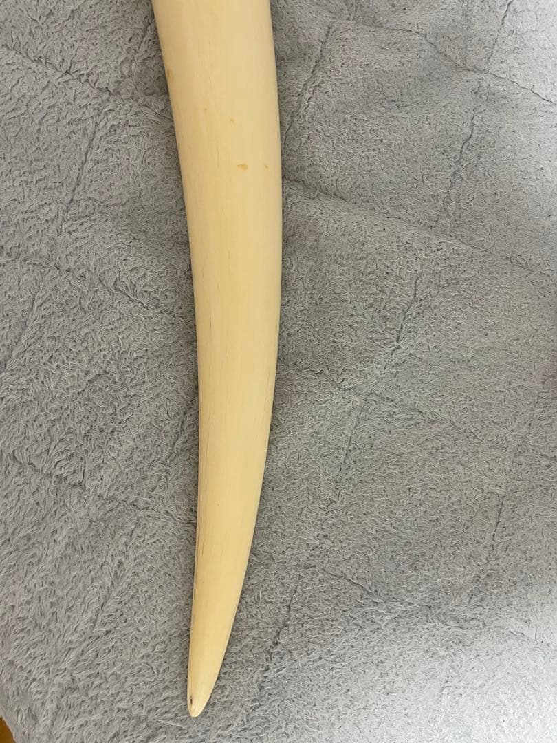 鈴*凱様 （超特大）象牙風レプリカ置物　レジン　練物