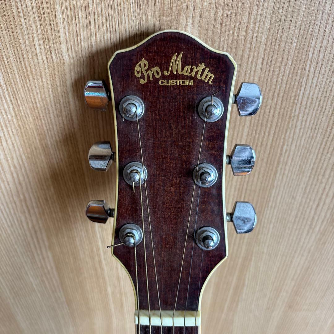 エレクトリック・アコースティックギター　Pro Martin EA500W VS