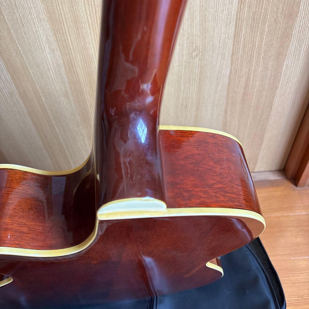 エレクトリック・アコースティックギター　Pro Martin EA500W VS