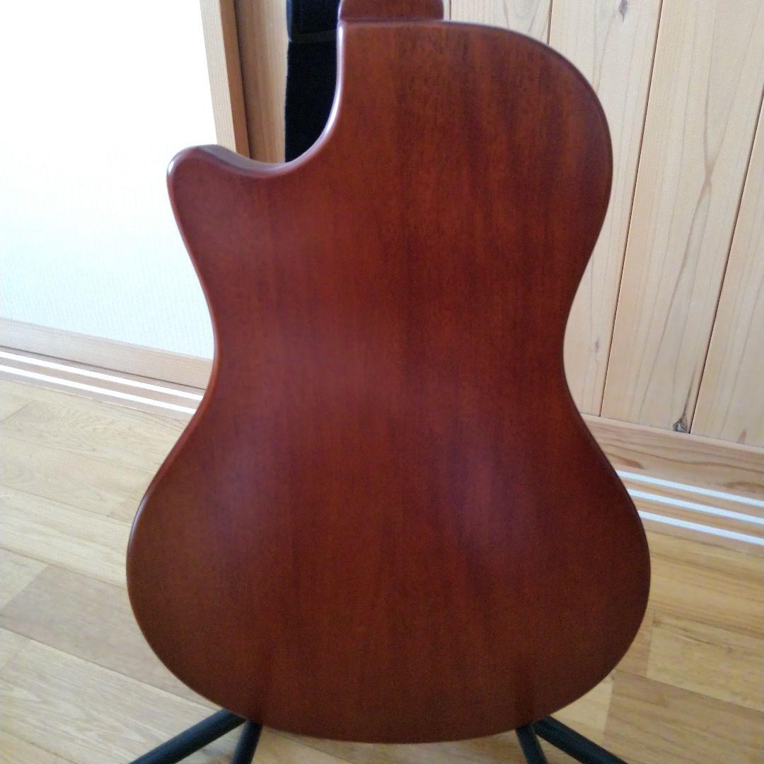 バンブーイン　C