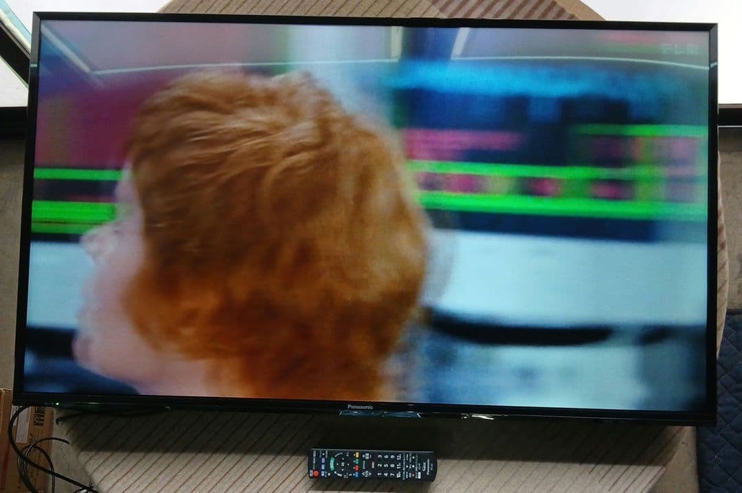 49インチ液晶テレビ Panasonic TH-49E300HT【スタンド無】㊹