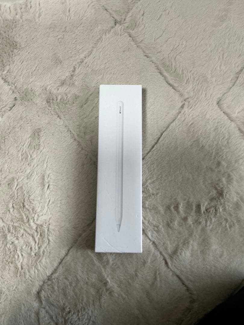 iPad本体 Apple Pencil ケース付き