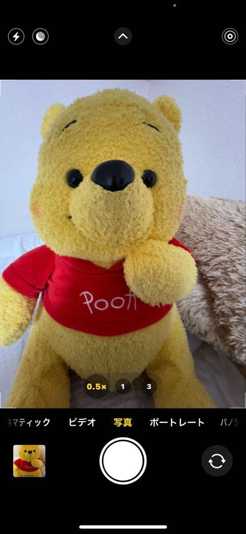 Apple iPhone 13 Pro Maxゴールド+AppleCare