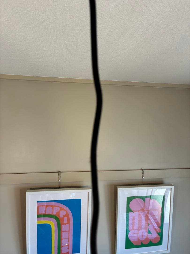 BEEM ビーム Pendant Holder + Bulb Curli