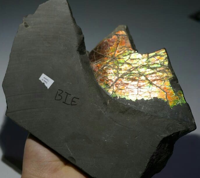 お父様さま　アンモライト 特大原石