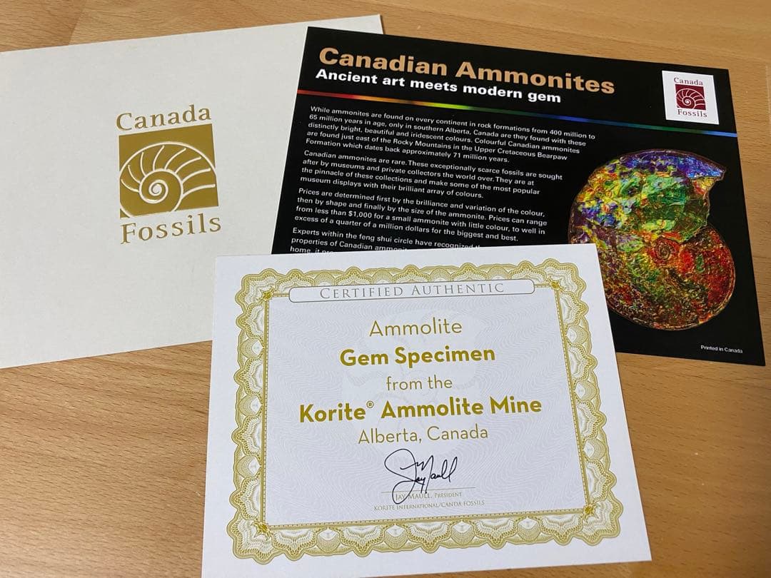 お父様さま　アンモライト 特大原石