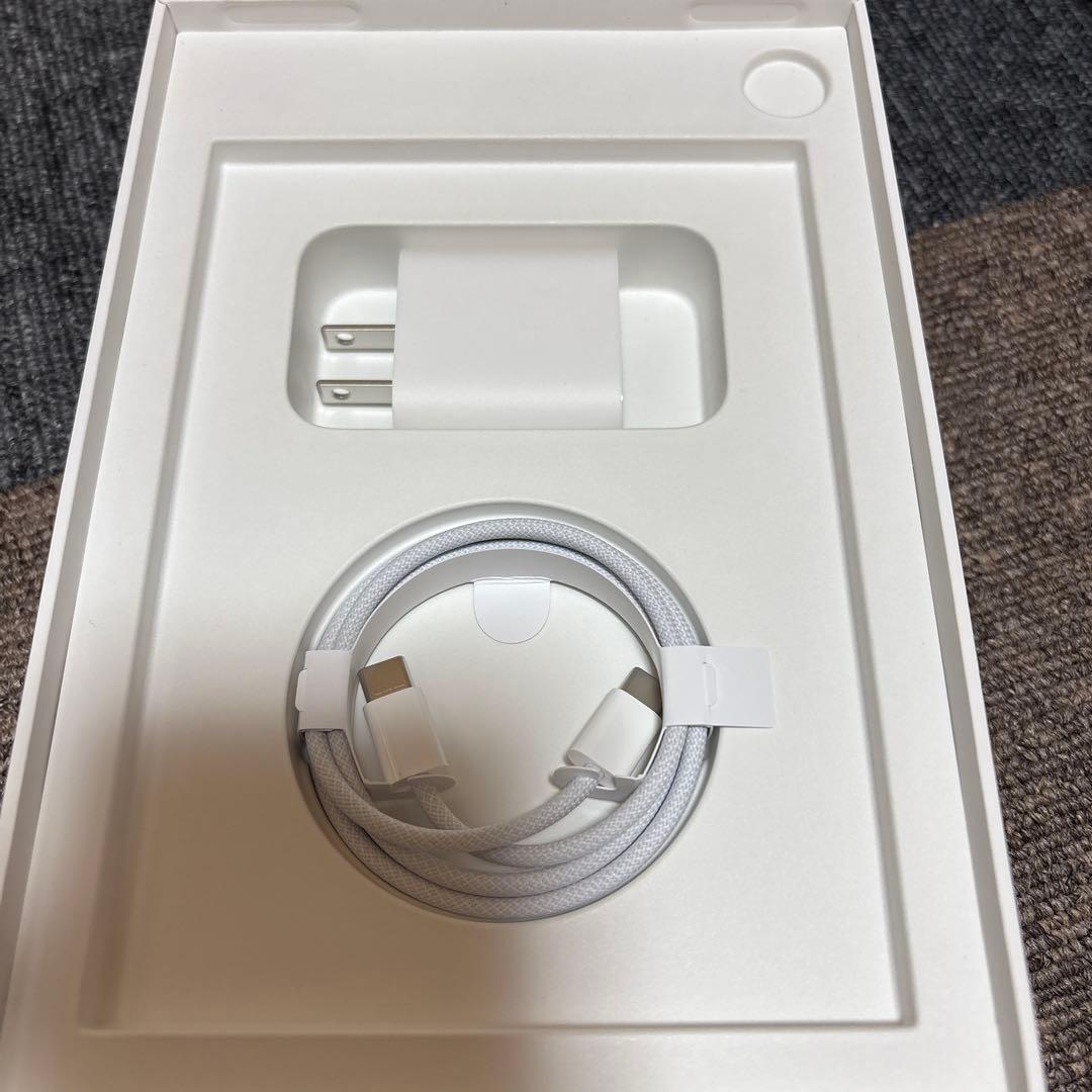 iPad mini (第7世代) Wi-Fi + Cellular 128GB