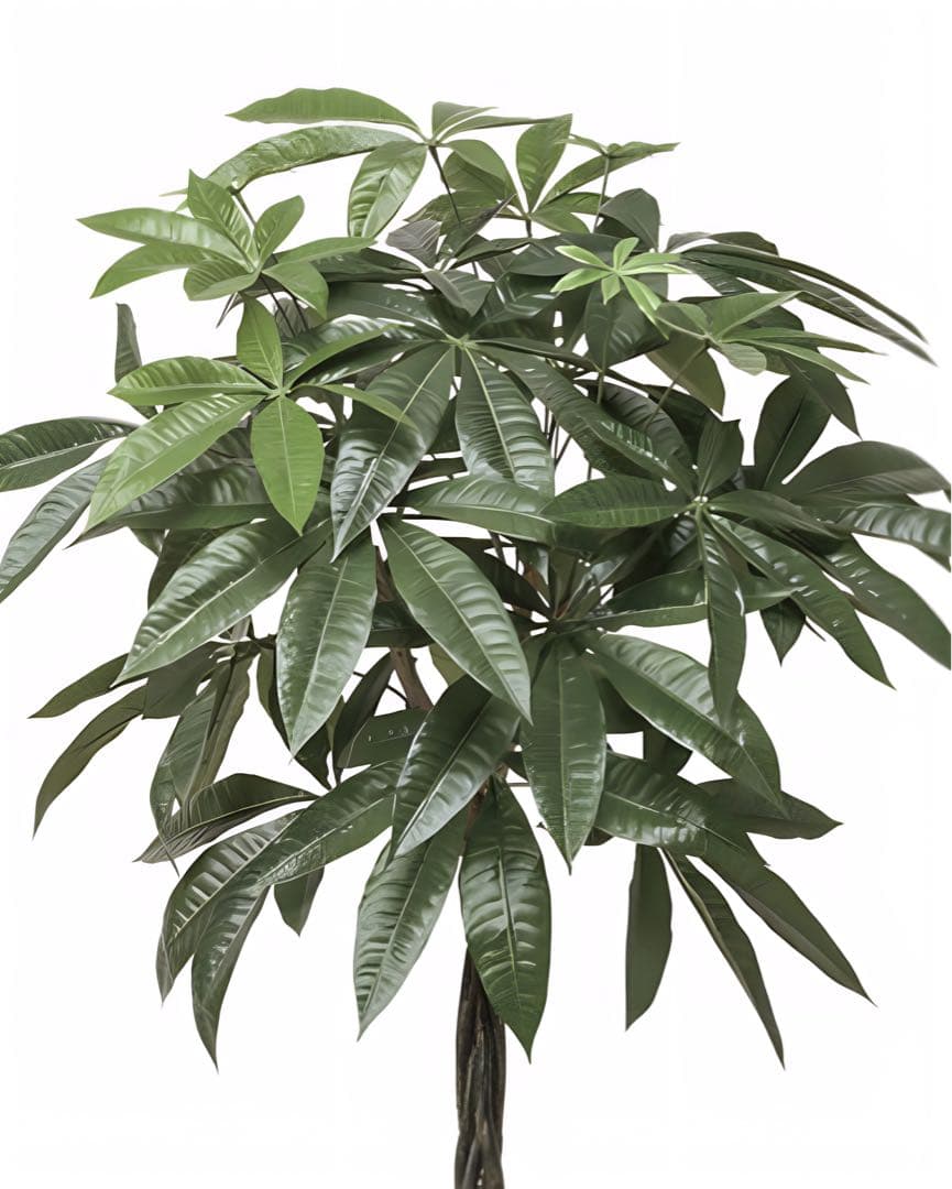 光触媒　人工観葉植物　ウォールグリーン　フェイクグリーン　パキラ1.25m