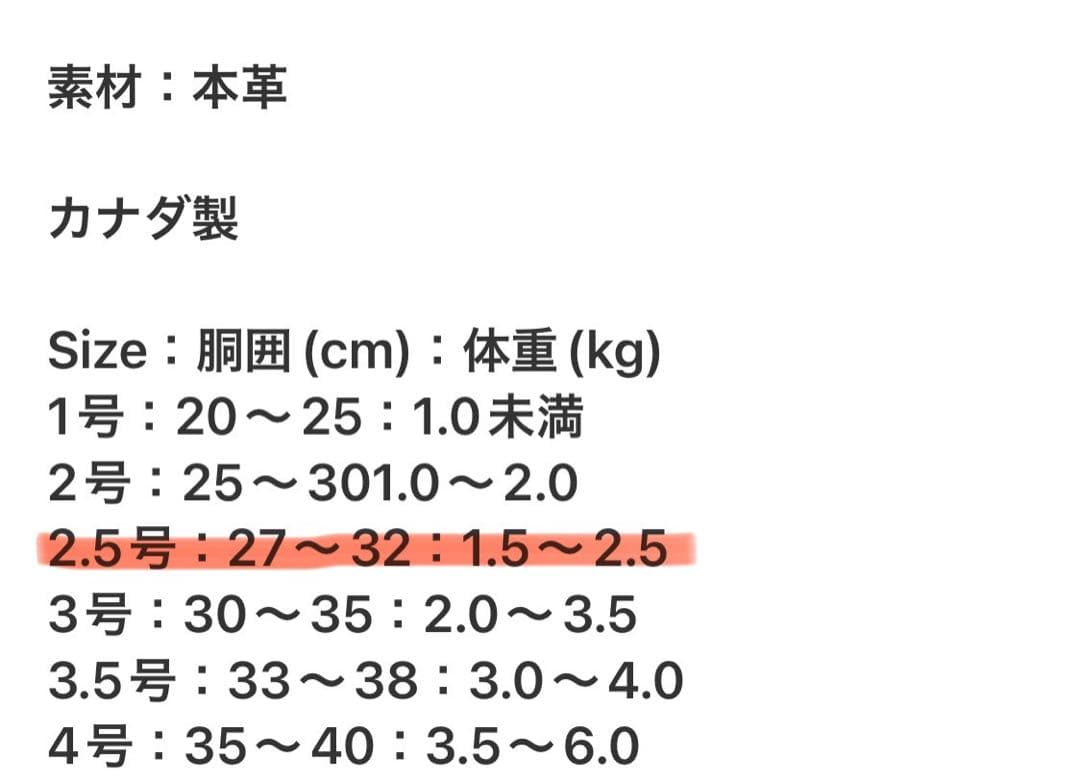 バディーベルト★ハーネス2.5号☆ティファニーブルー　スワロ付き★2kg前後