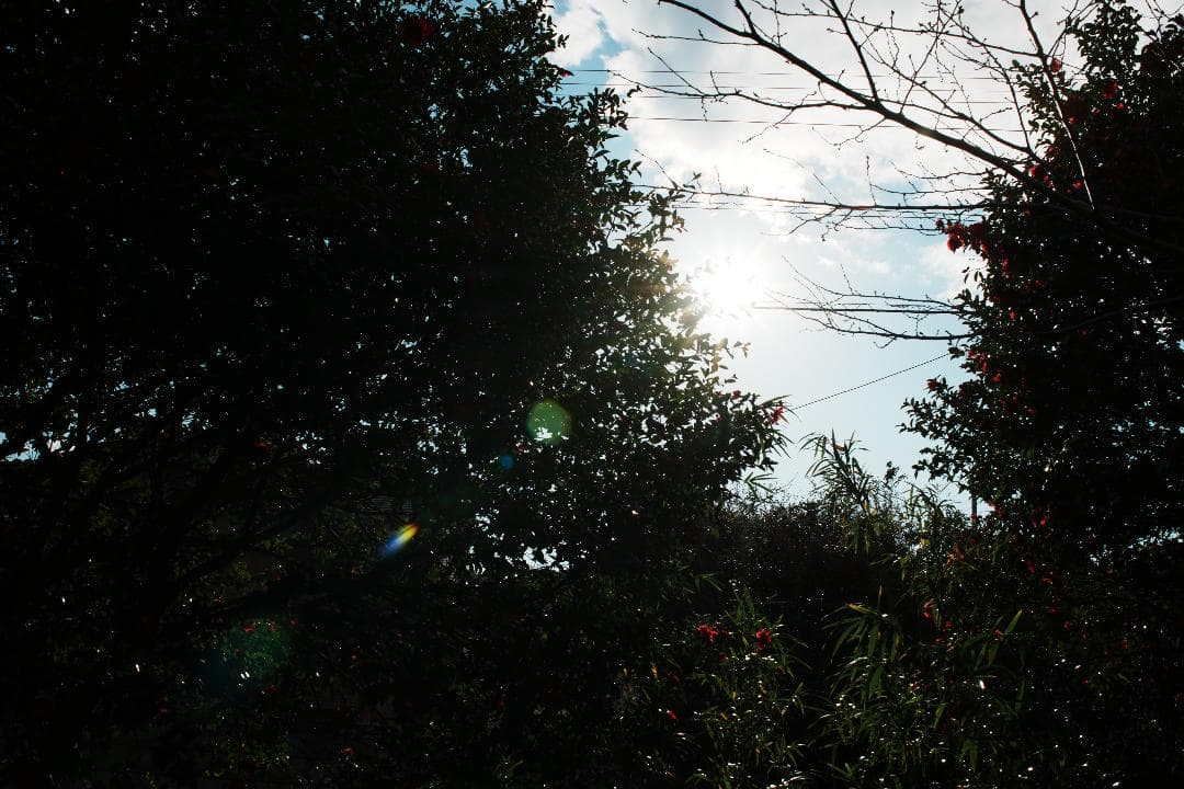 【整備＆テスト済】Nikon Ai Nikkor 35mm F1.4 648