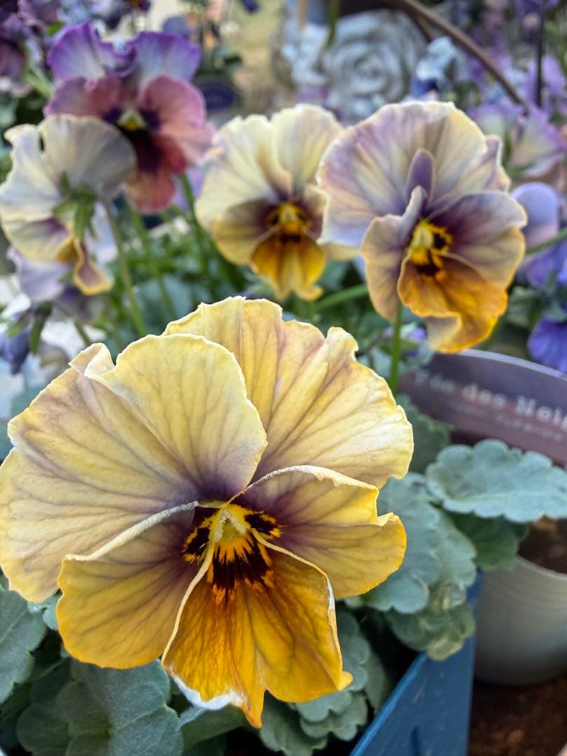 あっき様　13点