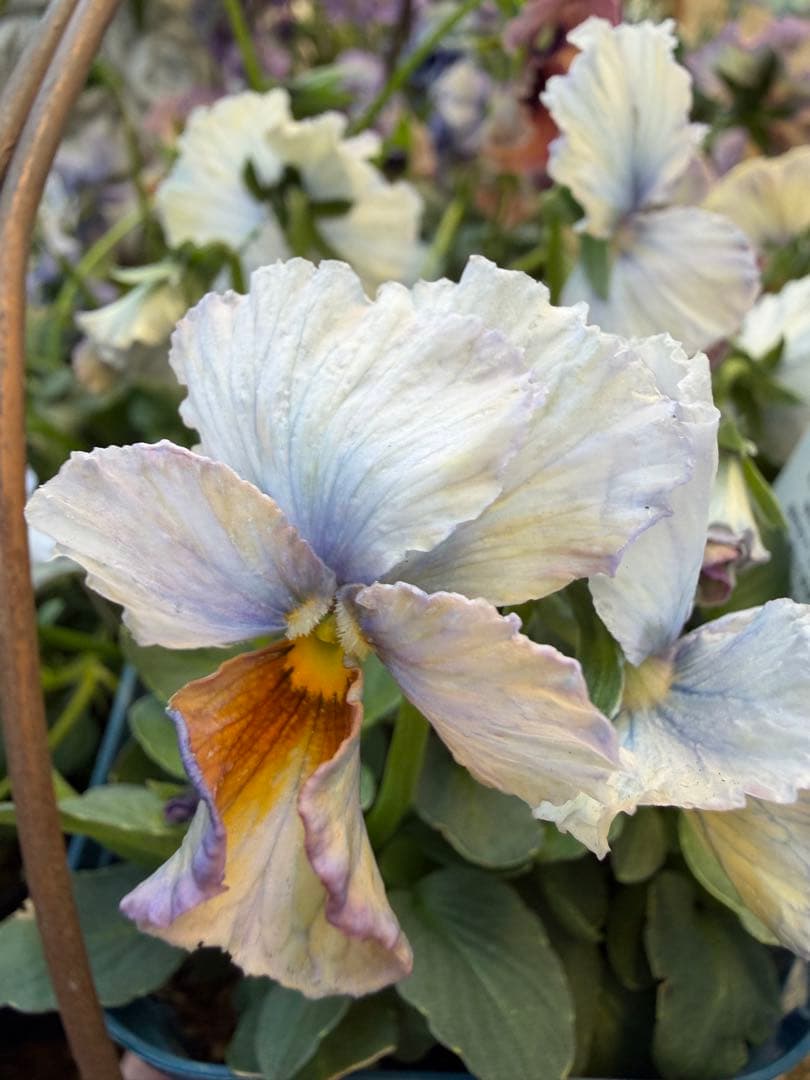 あっき様　13点