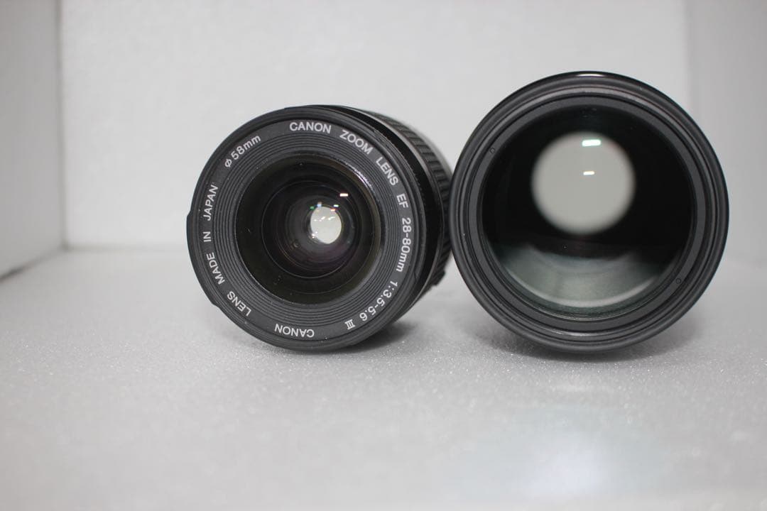 一眼レフ　Canon EOS 6D Mark II標準&望遠ダブルレンズセット