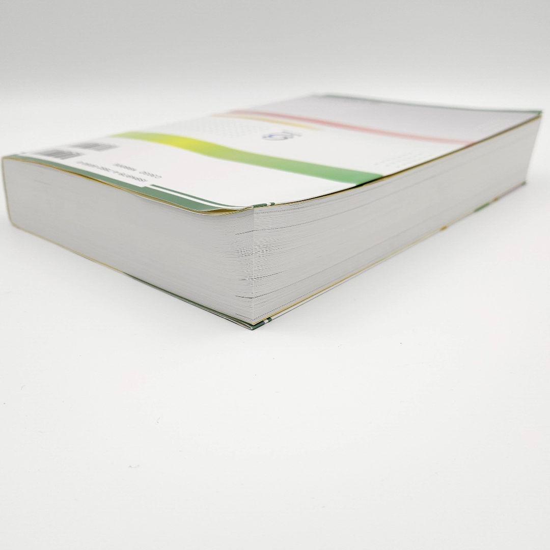 詳説 入管法と外国人労務管理・監査の実務 ―入管・労働法令、内部審査基準、実務…