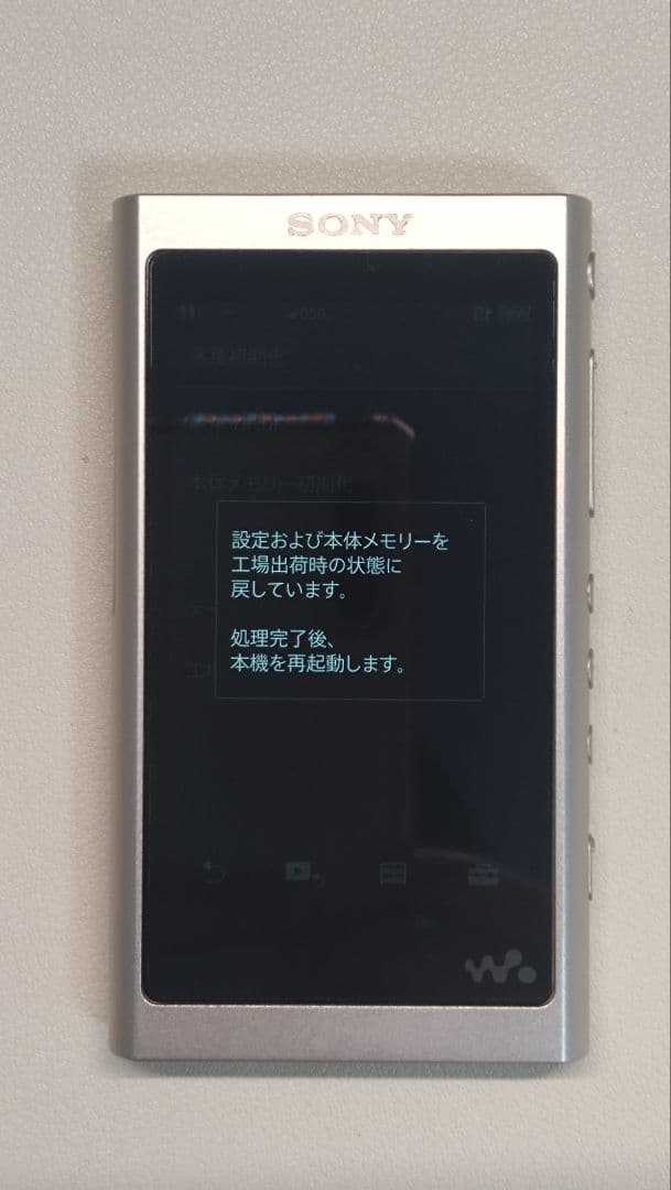 SONY ウォークマン NW-A55 (16GB)