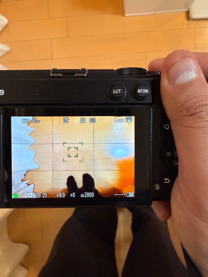 【良美品】LUMIX S9 標準ズームレンズキット 20-60mm｜付属品完備