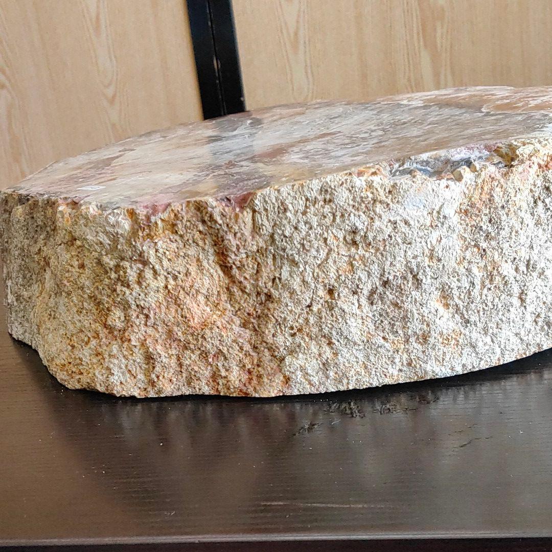 超特大の珪化木の化石です。