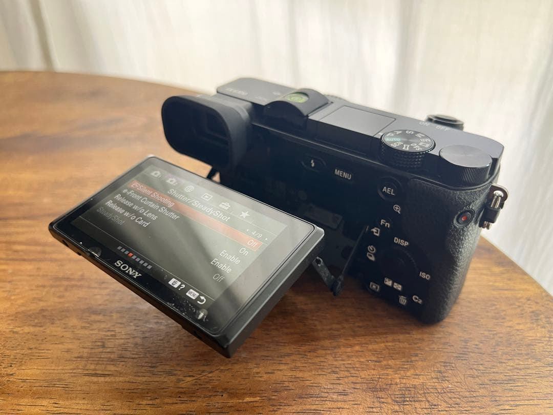 【海外仕様】SONY α6100 ミラーレスカメラ 3本レンズ付き