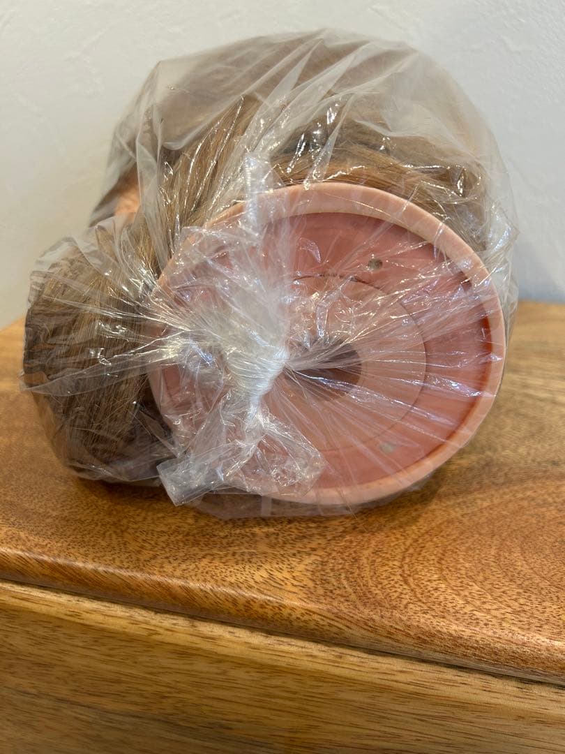 N.B.A.A.アップウィッグⅡブロンド/未使用品