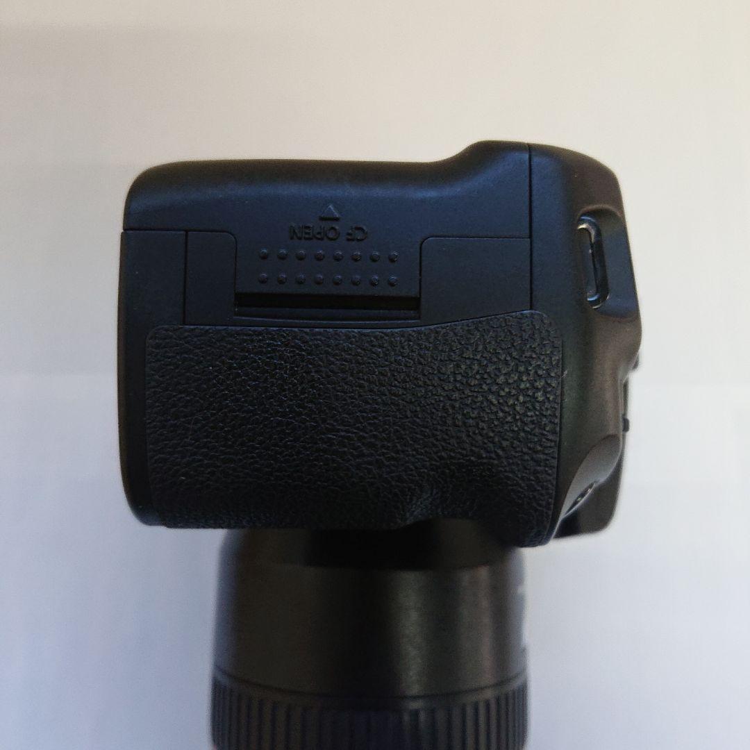 Canon EOS 40D + Tamron 70-300mm(ジャンク)