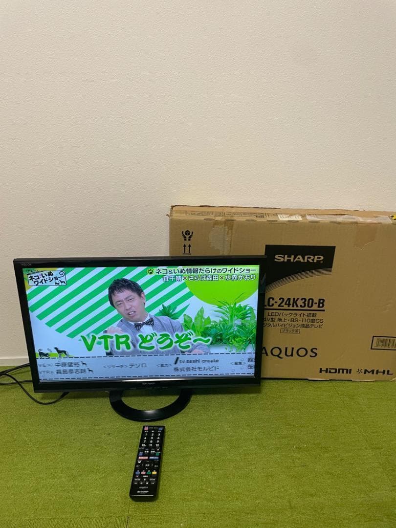 ハヤシ 液晶テレビ 24V型 LC-24K30 外付けHDD対応