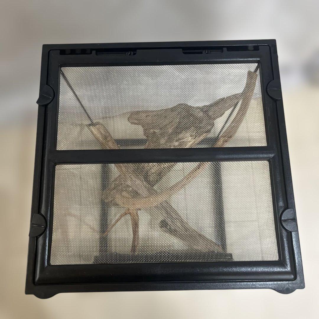 エキゾテラ　グラステラリウム　3045 流木付き