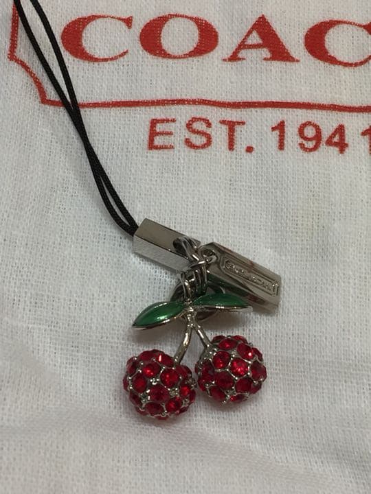 coach コーチ ストラップ