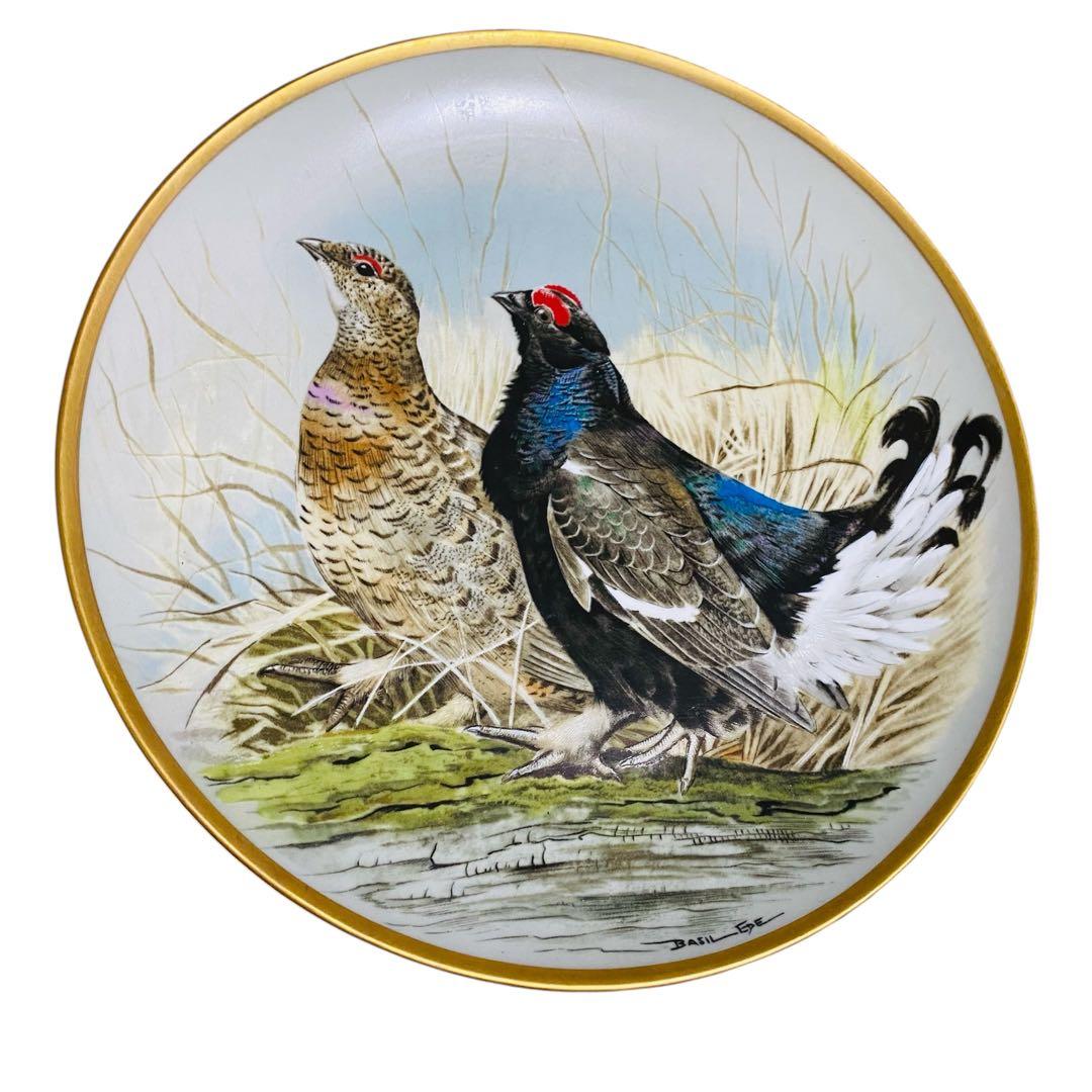 野鳥絵皿　フランス　リモージュ　フランクリンポーセリン　12枚