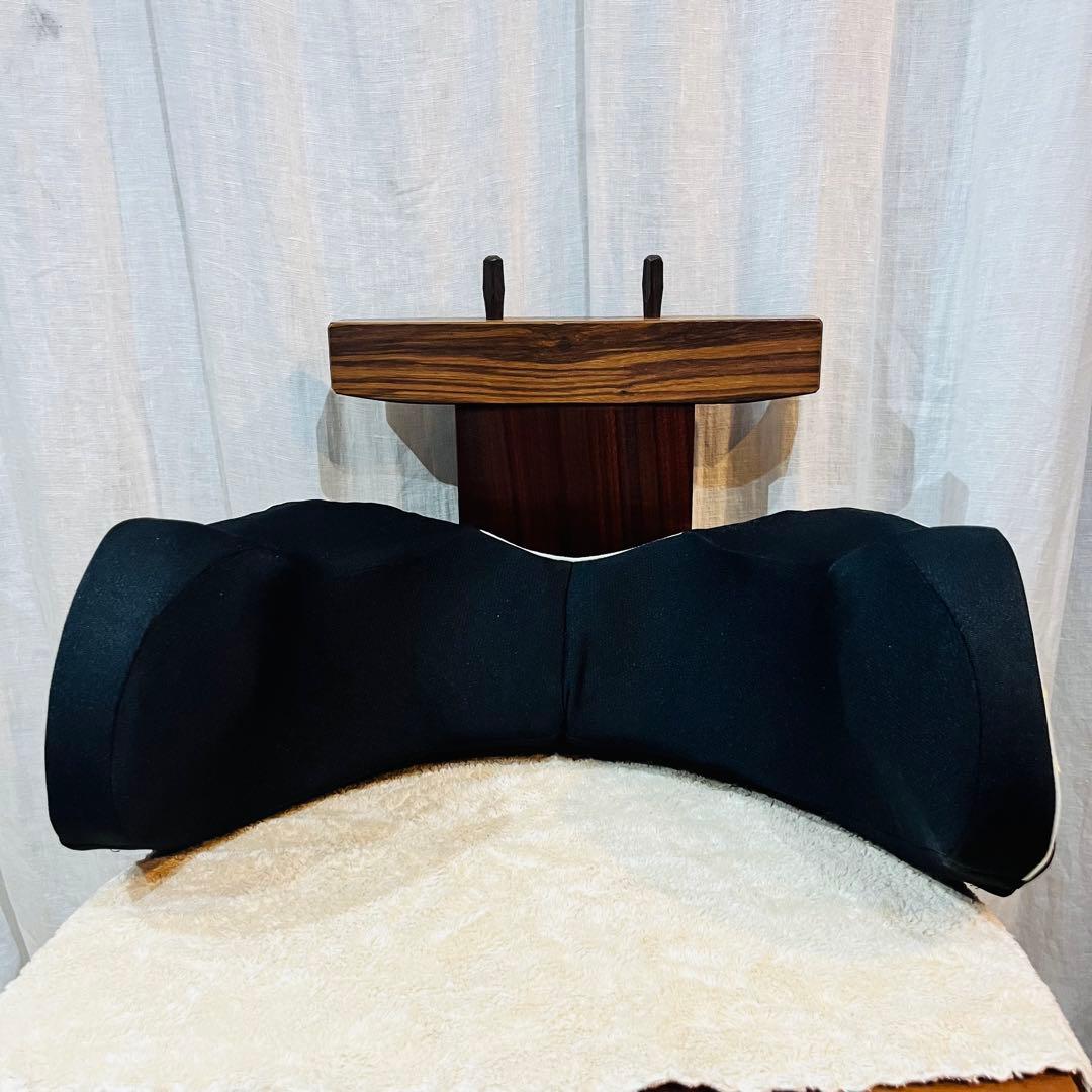 Nishikawa 西川 骨盤サポートクッション