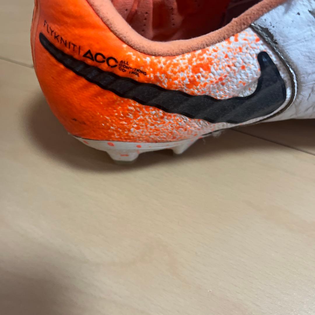 ティエンポレジェンド7 FG