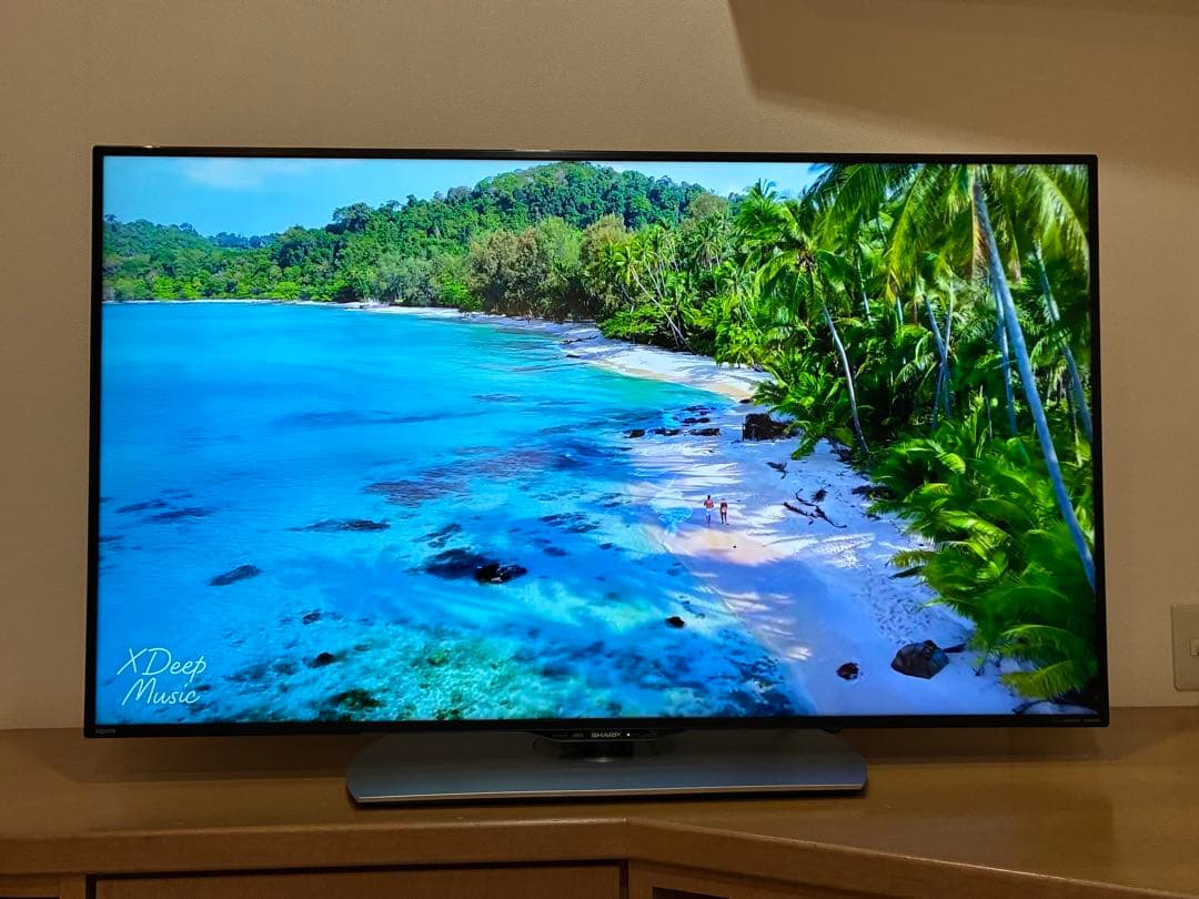シャープ AQUOS 50インチ4K 液晶テレビ LC-50U40