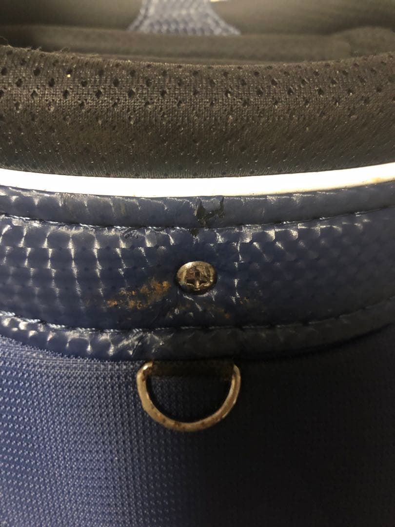 【送料込み】大人気　タイトリスト　キャディバッグ　ゴルフバッグ