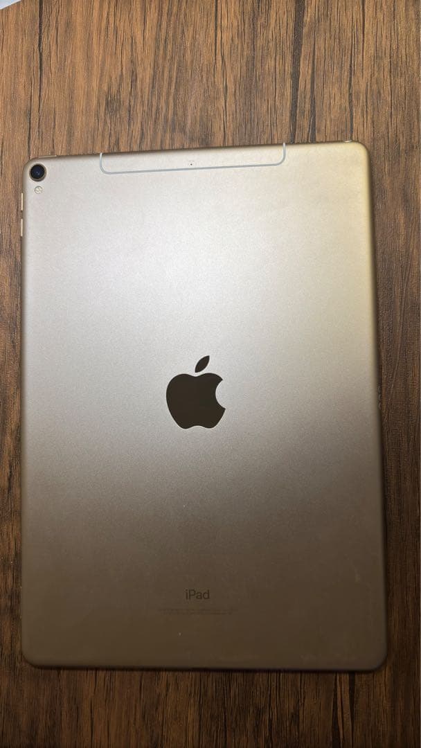 iPad本体 iPad 10.5 256GB Cellular