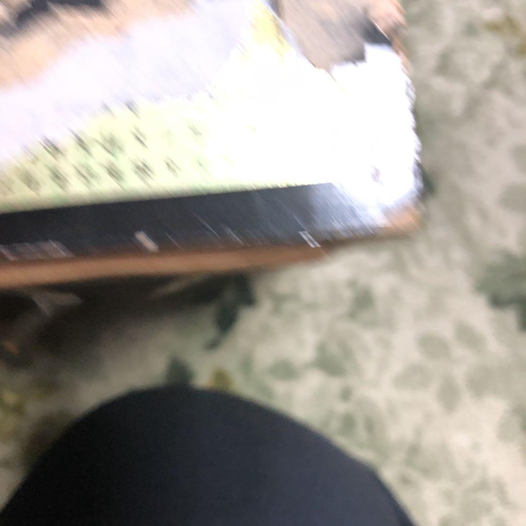 東南アジア系の蝶の標本です。