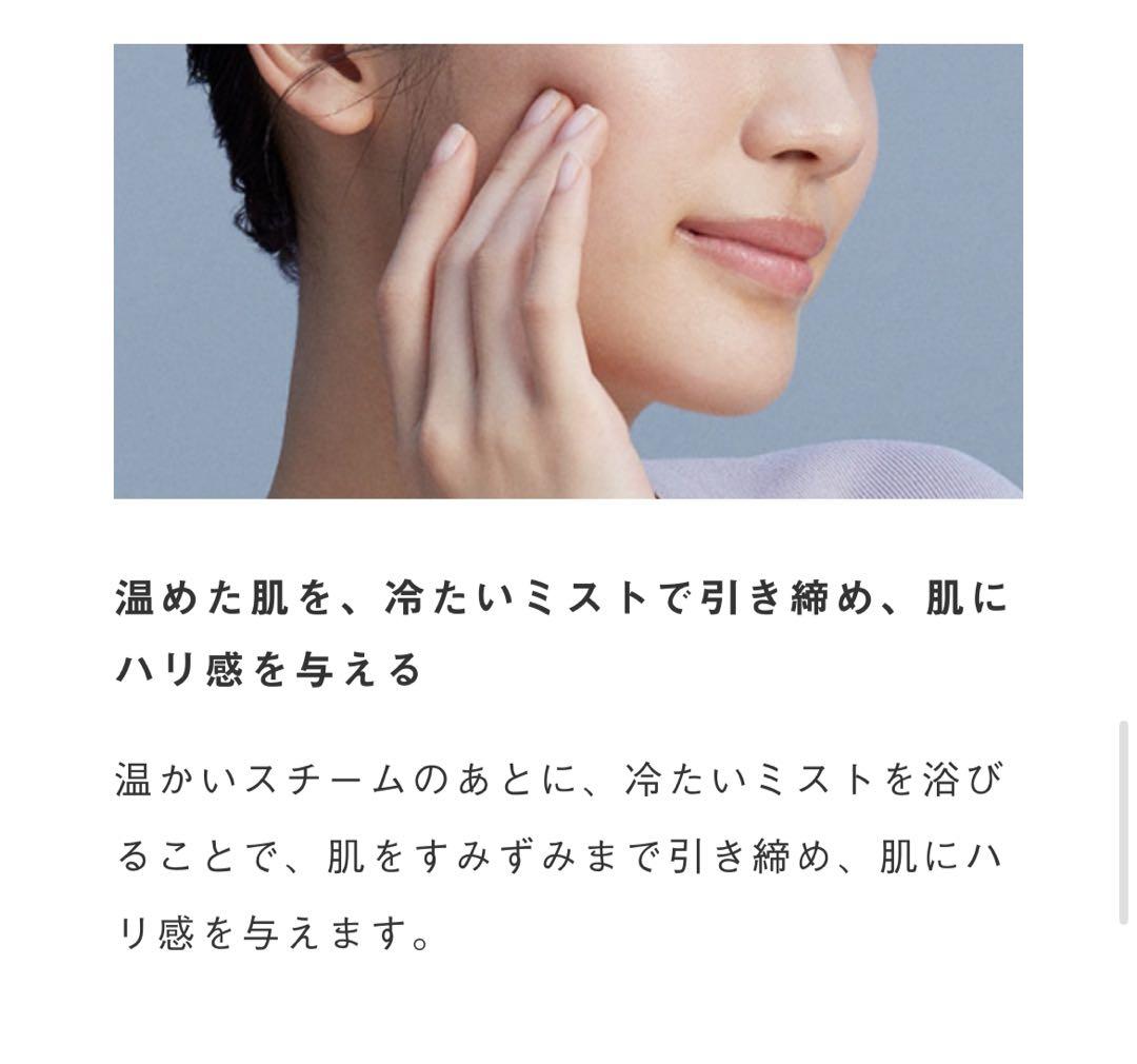 SALONIA ピュアブライトスチーマー ベージュ