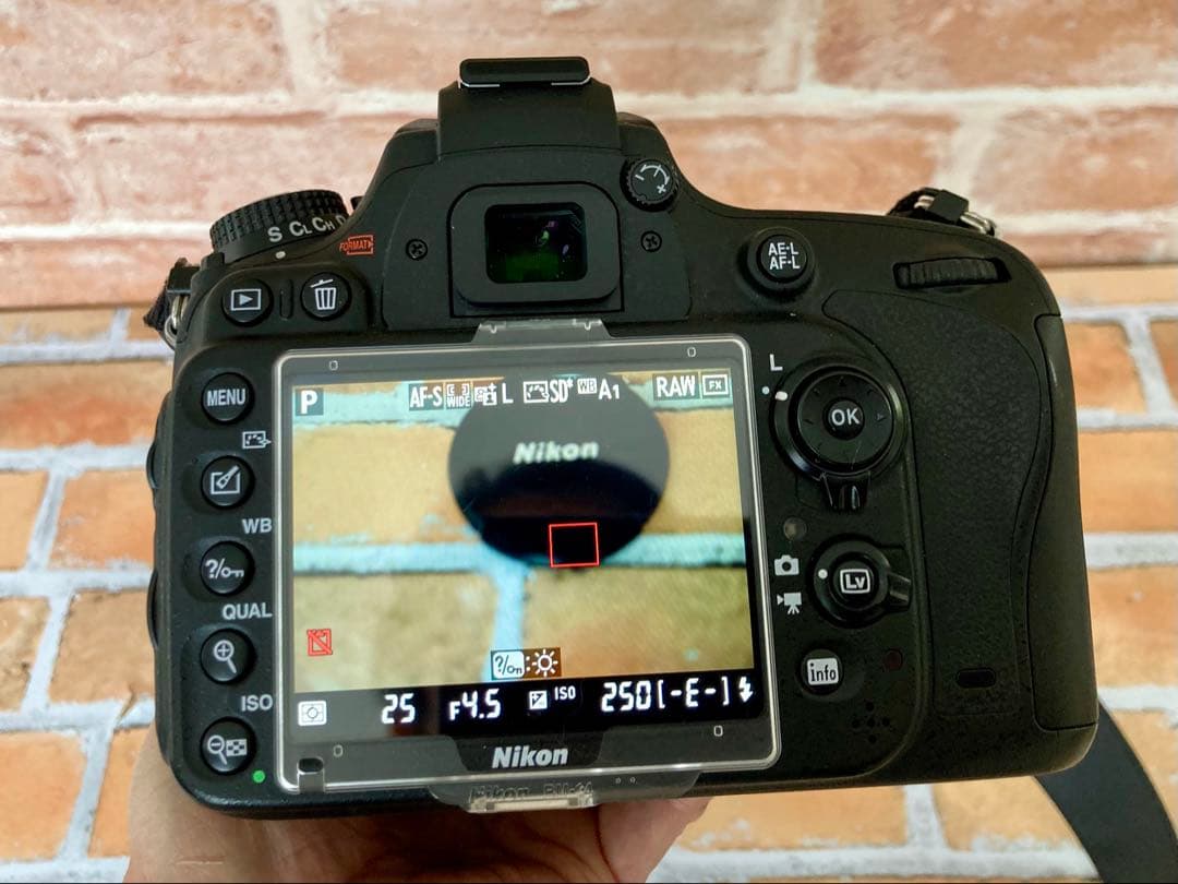 Nikon D610 純正ズームレンズ付き