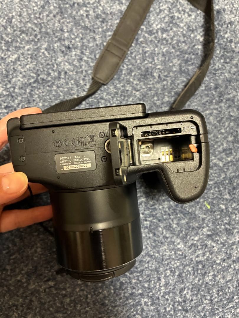 イソシギ(2/13まで) Canon Power Shot sx60hs