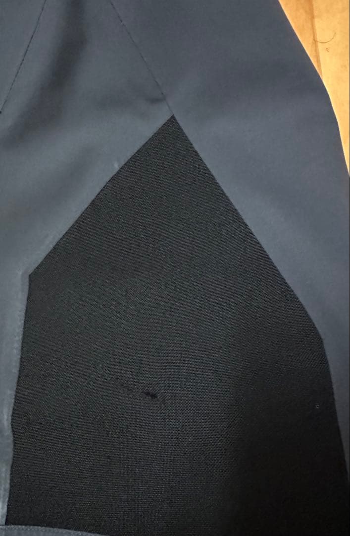 Phenix スキーウェア 上下Lサイズ