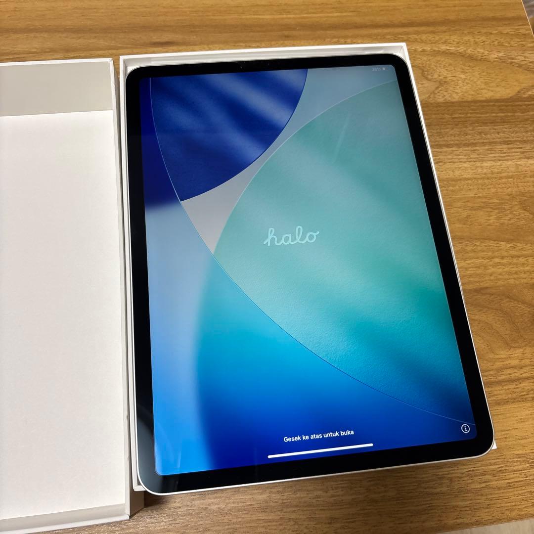 iPad Pro (第2世代) 11インチ　256GB WiFiモデル