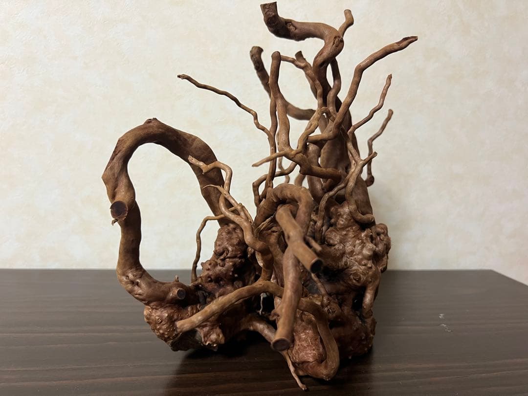 10936 ブランチウッド　流木　アクアリウム　沈水確認済