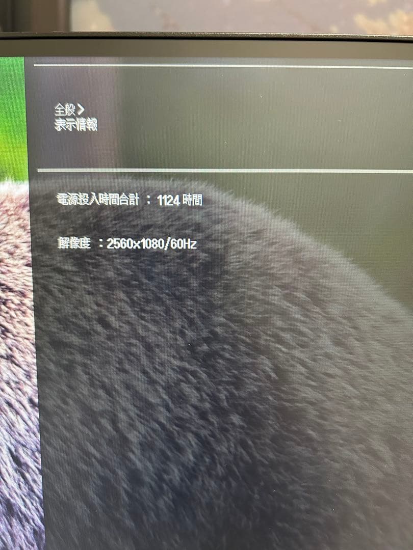 LG 29インチモニター 平面ウルトラワイド 29WQ600-W