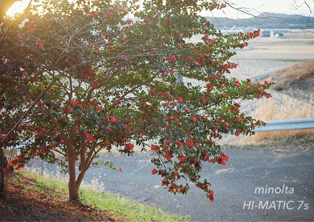 ★超美品＊完動品＊初期保証★minolta himatic 7s