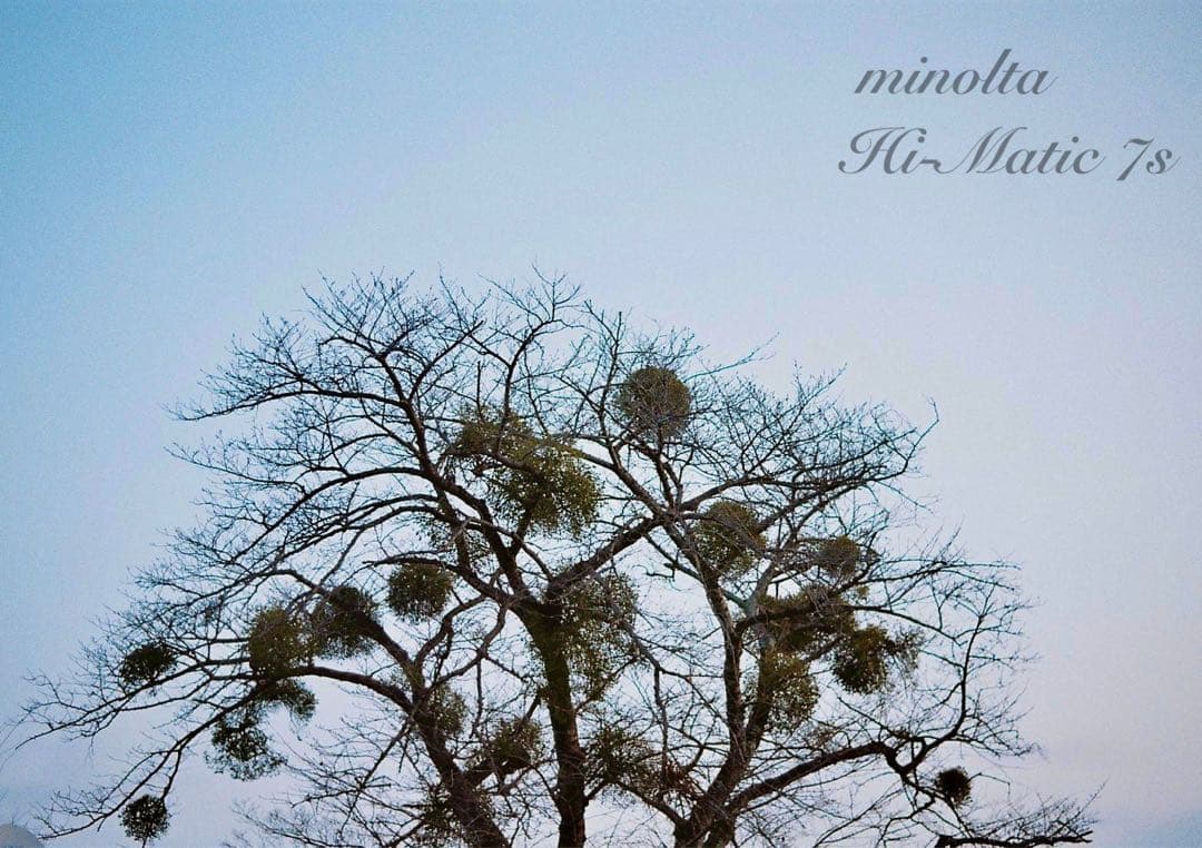 ★超美品＊完動品＊初期保証★minolta himatic 7s