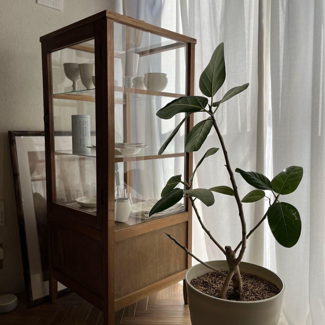 古家具 ガラスケース パンケース ショーケース 5面 アンティーク キャビネット