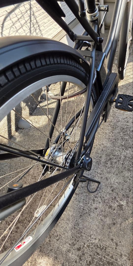 PAS RIN 2024年モデル 15.8Ah マットブラック 26型