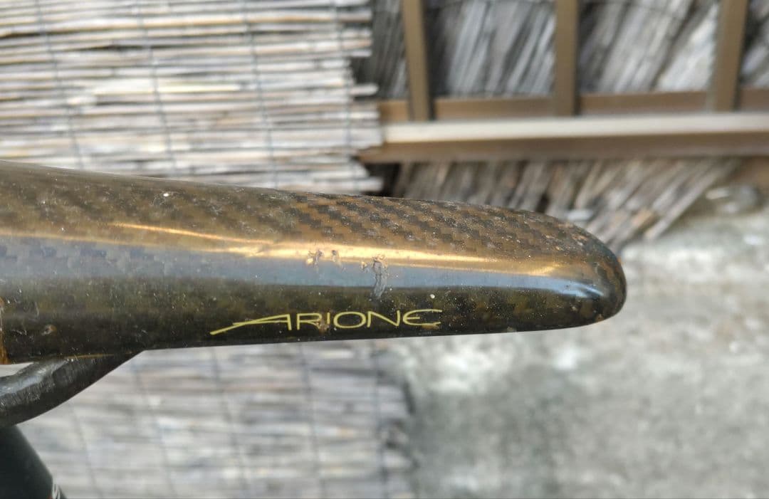 フィジーク アリオネ カーボン