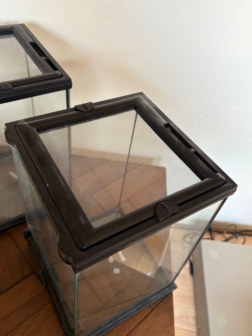 GEX グラステラリウム ナノ　エキゾテラ ケージ　2個セット　②