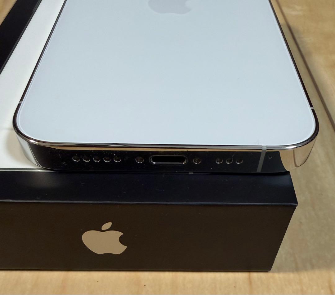 【極美品】iPhone 13 Pro 256 GB SIMフリー 本体 シルバー