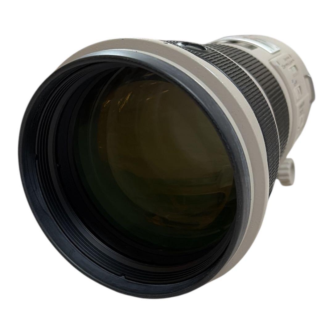 Canon キャノン EF 300mm f/2.8 L IS USM レンズ